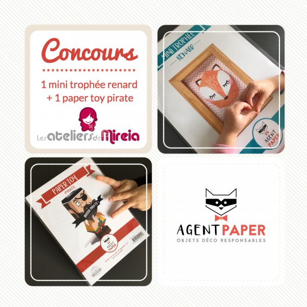 Concours Agent Paper